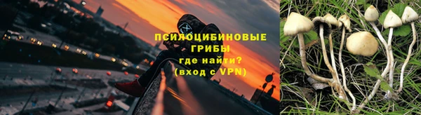 соль курить ск Алзамай