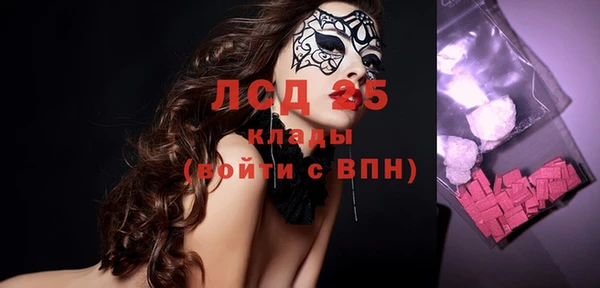 соль ск Новозыбков