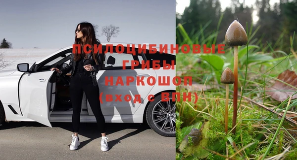 мет Алексин