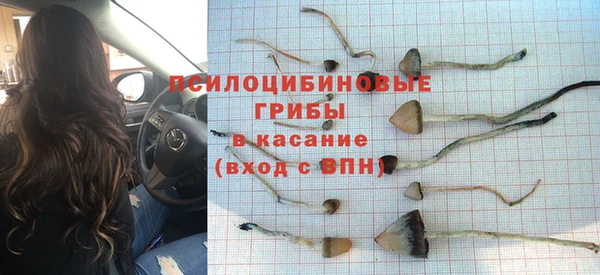 ALPHA PVP Алексеевка