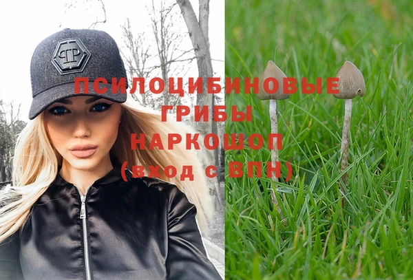 марихуана Новодвинск